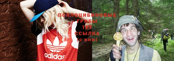 наркотики Алексеевка