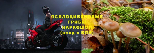 каннабис Алексин