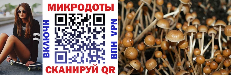 Галлюциногенные грибы мухоморы Курск