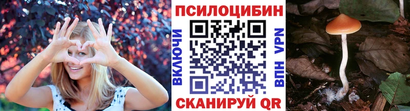 Галлюциногенные грибы прущие грибы  магазин    Курск 